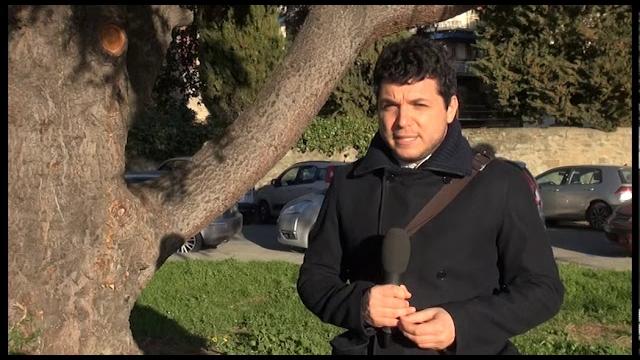 Sos Arezzo Tv - Parco Pertini, dopo la nostra puntata il Comune lancia la sua riqualificazione - WQi8nyW4t9M