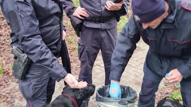 Ancora esche avvelenate in un parco aretino - -kpXvCeSzMU