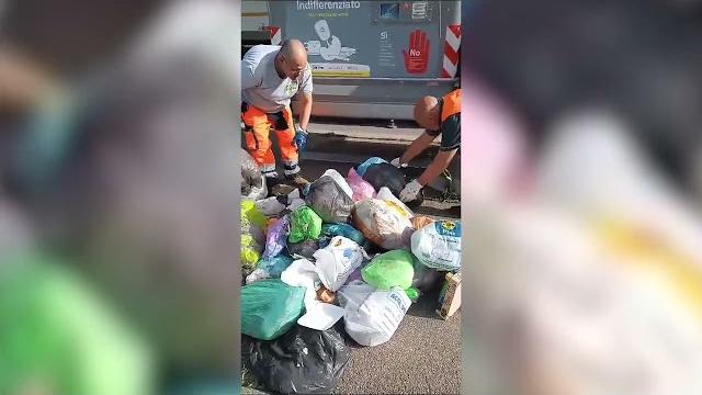 Gattini chiusi in un sacchetto e buttati in un cassonetto. Enpa: "atto gravissimo" - -qKZJ6vVma4