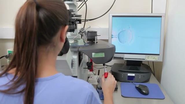 Mamme di Anghiari, sì dei servizi sociali all'adozione - 2FptaClAkwE