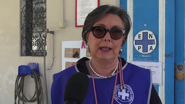 Dalla Romania stipati in un furgone, cuccioli di cane salvati dalla Polizia Municipale - 2aSEcf8AgEA