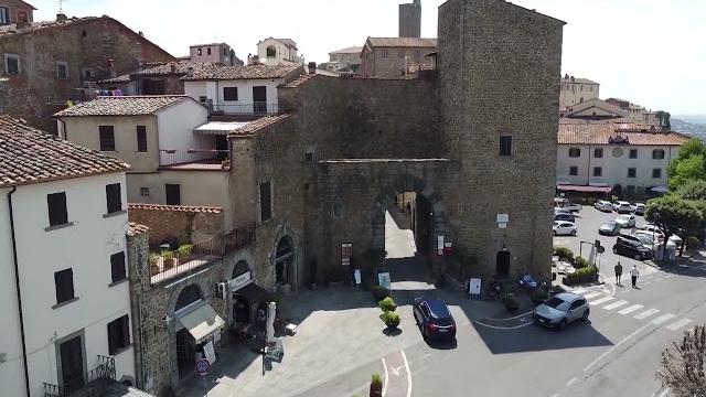 Castiglion Fiorentino. Assiolo ferito, salvato dal ciglio della strada e liberato - 3FRlRlk_OG8