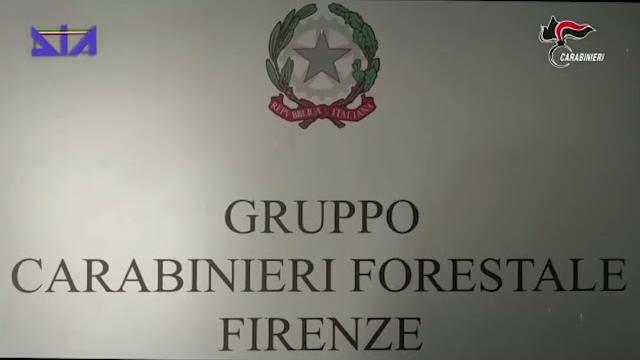 Inchiesta Keu, chiesto il rinvio a giudizio per 24 persone e 6 aziende - 43VS2qOzjKU