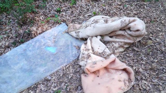 E' di Claudio Bindi il corpo senza vita ritrovato ieri nel bosco - 4sh2Sc8mXlk