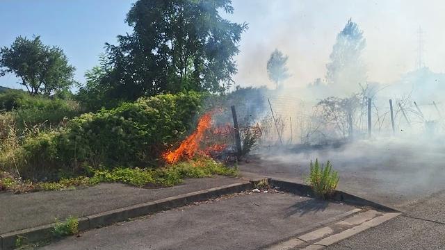 Incendio alla Carbonaia, indagini in corso. Spunta un video