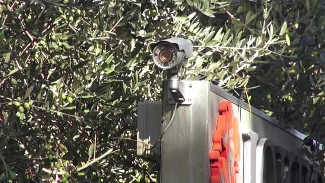 Colpo nella notte ai danni di un azienda di preziosi di Tegoleto. Indagini in corso. - 7P4NmaecuEs