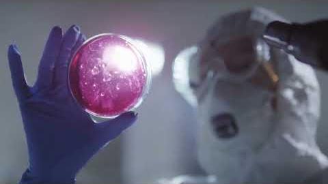 Legionella, morta l'anziana ospite di una Rsa. Famiglia chiede le cartelle cliniche - 7du7eJ6yZcU