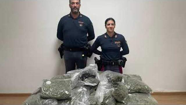 Arezzo: due fidanzati arrestati in A1. Trasportavano 12 Kg di marijuana - Cvp1ldrc6u0