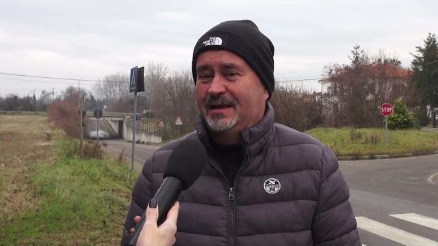 Predatori vicino alle case, il Comitato Emergenza Lupo Emergenza lupo: "in pericolo colonie feline” - FoJ2ooUfDm8