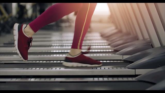 Palestre nel mirino del Nas: irregolarità in due strutture aretine - IRx0dx64AVs