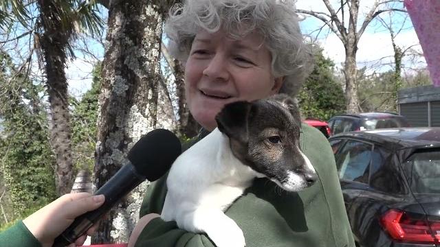 Dalla raccolta fondi per l'operazione al cuore alla nuova famiglia, la storia a lieto fine di Monkey - JVLbNR3YTK8