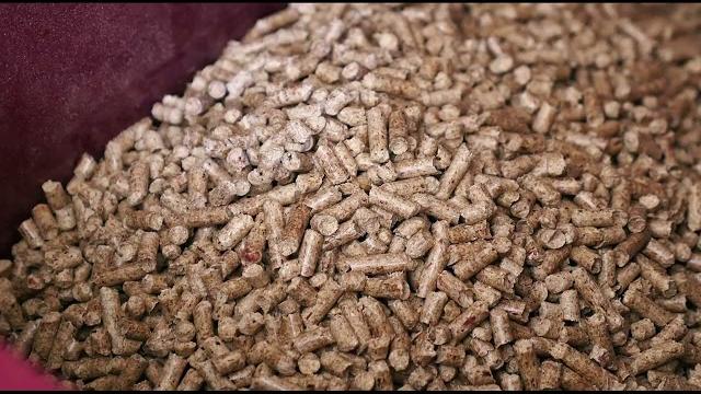 Regali di Natale: i consigli della polizia postale per evitare truffe on line - K3FoAuMtifs