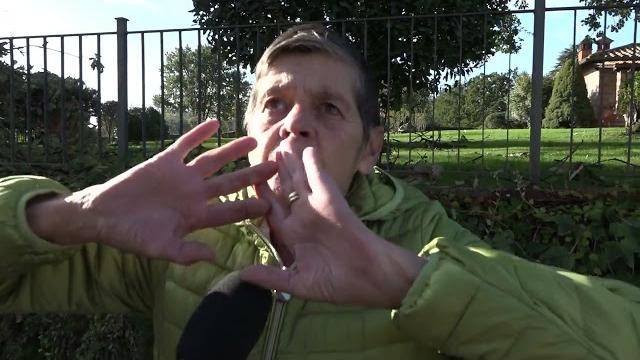 L'ondata di maltempo colpisce anche Arezzo: alberi e tetti divelti - K5qCmBF0iDk