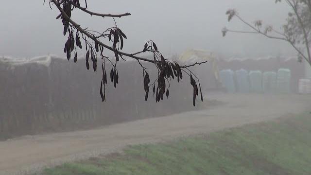 Arezzo, accoltella il fratello abbandonandolo in un lago di sangue: arrestato per tentato omicidio - K7o-kE12b6w