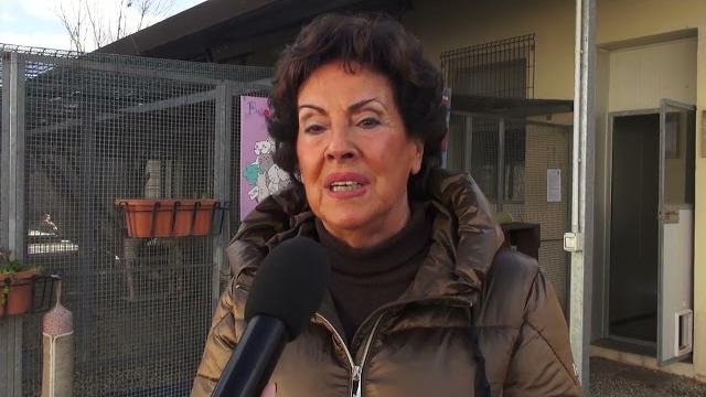 Concordo Pm ad Arezzo, il Tar respinge il ricorso. Tutto regolare - MgvKEz_TKtk