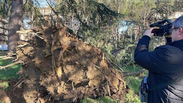 Pioggia, vento e grandine. Pochi minuti di un violento fenomeno, danni ad Arezzo - N27bv1RaMdc