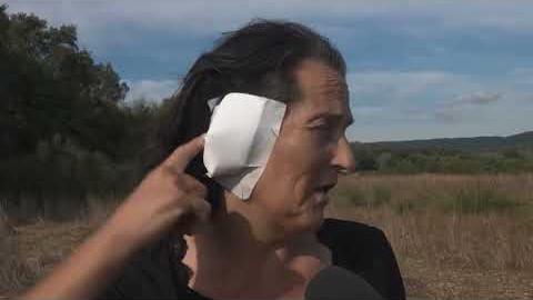 Lupo, dopo il caso di Massa, i consigli di un'esperta - PP6jwDGcakA