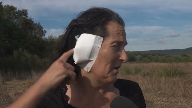 Lupo, dopo il caso di Massa, i consigli di un'esperta