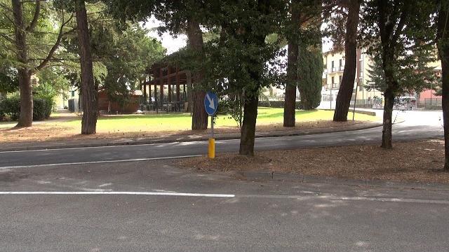 Lupo avvistato tra le casa a San Leo, cresce la preoccupazione