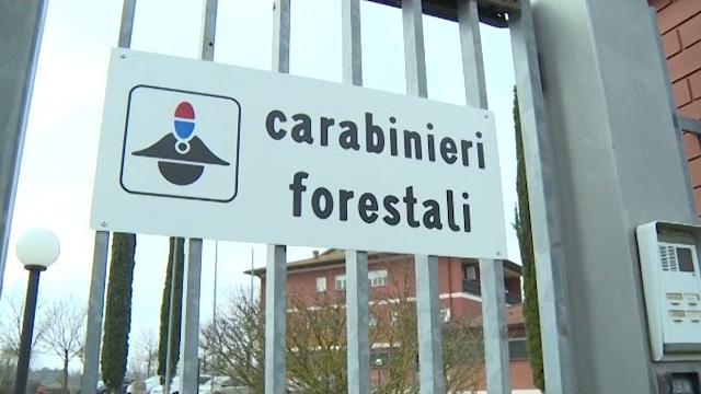 Carabinieri forestali e Arpat nel deposito del comune di Arezzo. Il sopralluogo nei giorni scorsi - SpVohoRKO5k