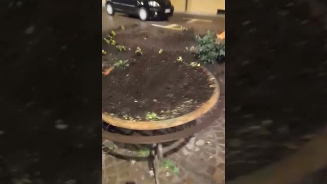 Sansepolcro. Centro storico devastato da vandali: minorenne nei guai - Uhk0MnjnB5c