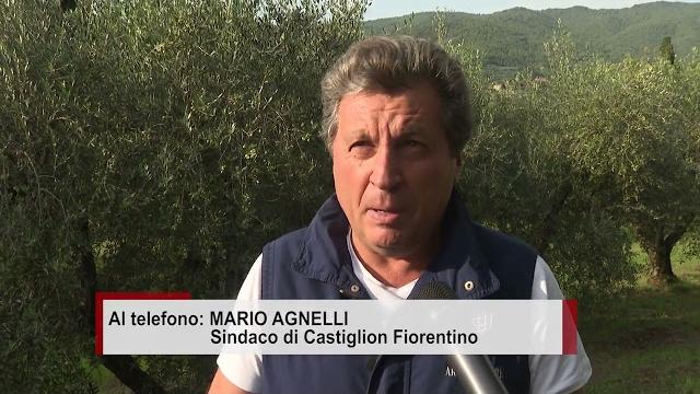 Gatto viaggia nascosto nel motore dell'auto del sindaco, disavventura a lieto fine - Uwu-E9q8TUg