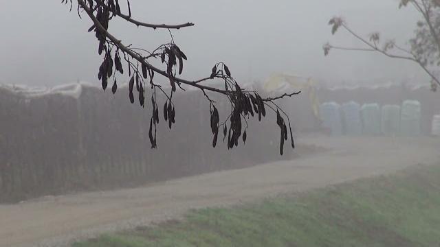 In carcere per il tentato omicidio del fratello: la difesa chiede i domiciliari, il Pm si oppone - VafJBEF3EPk