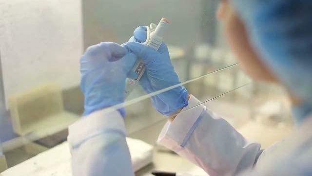 Morbo della "mucca pazza" nell'Aretino. La Asl: “non è dovuto al consumo di carne” - W_0sEr0Satc