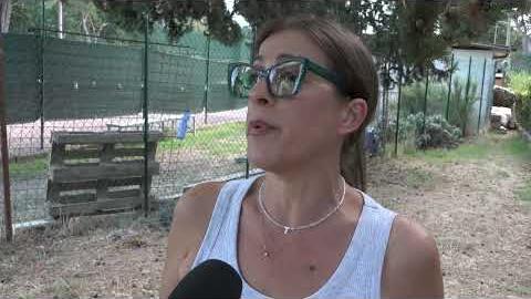 Arezzo, da San Leo la richiesta di aiuto per le colonie feline - _uOSEzSamuo