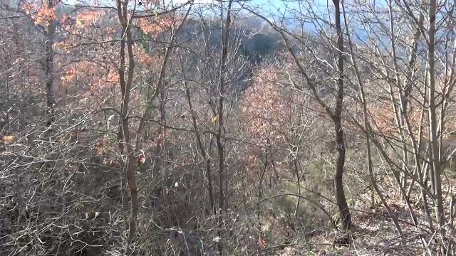 Uomo scomparso nel nulla, ricerche a tappeto tra Palazzo del Pero e Le Ville - aOCNRC_CuTc