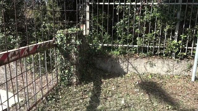 Area ex Lebole, dopo la chiusura dei cancelli inizia la ripulitura dalle erbe infestanti - bQYYc2zAYQ0