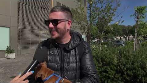 Cagnolino ucciso, la Procura chiede l’archiviazione. Il proprietario: “avanti per Choco” - cQ83xAF7VIk