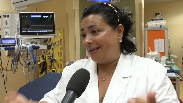 In estate, attenzione alle punture d'insetto. Tanti i casi di rimozione di zecche in ps - ejaEDlaJSuI