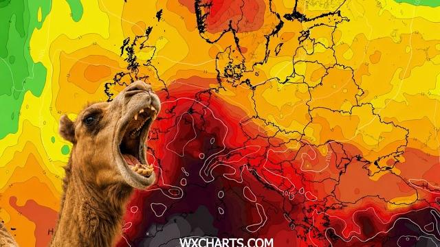 Caldo record, tocchermo i 40°. Parla l'esperto di Arezzo Meteo