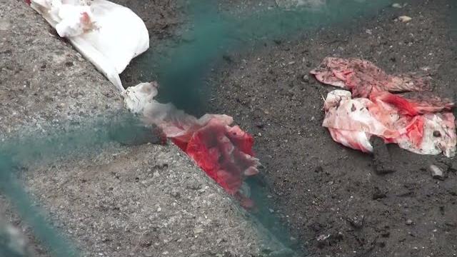 Rissa nella notte di Halloween ad Arezzo Due feriti. Sono sette gli interventi per abuso di alcol - gf02-0MmM-M