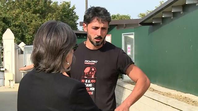 Lupi feriti ed uccisi nell'Aretino, la denuncia di Enpa