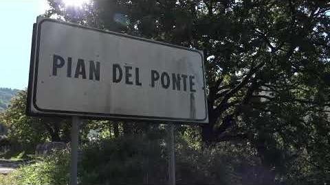 Muore dissanguato, la moglie davanti al giudice: “un incidente. Non volevo accoltellarlo” - jcpVwi7oV1M
