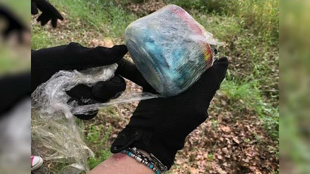Arezzo, fermato e arrestato uno spacciatore. Nascondeva la droga in un bosco - kSVH3gH3SrQ