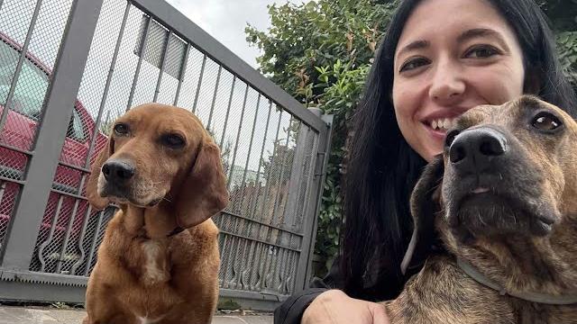 Subbiano. Petardo contro i cani in giardino, la denuncia della proprietaria: “basta maltrattamenti” - olCssHOb7Eg