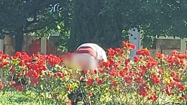Semi nudo nell'aiuola di fronte alla chiesa, ancora un episodio di degrado a Saione - pH8HMBwmrhU