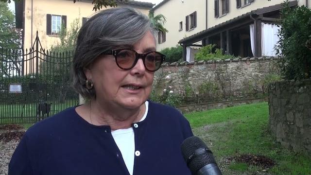 Gatto colpito da una carabina, l'appello di Enpa: "chi sa qualcosa parli e denunci" - pvjyJZgbaK0