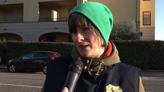 Bocconi killer ad Indicatore, cane ridotto in fin di vita - qMJTwfKGefY