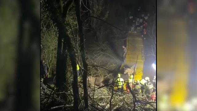 Maltempo, 80 asini bloccati lungo l'Arno. Tutti salvati dai Vigili del fuoco - r8-uzq7UjOE