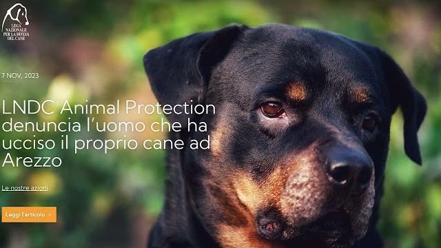 Rottweiler ucciso sul balcone, la Lega Nazionale per la Difesa del Cane sporge denuncia - sUXE5mQJQ7M
