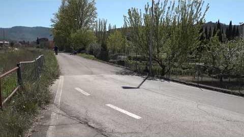 Cane travolto e ucciso ad Arezzo: individuata l’auto. “In corso approfondimenti investigativi” - tgPiI0wou-Y