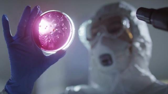 Arezzo, troppi casi di Legionella. La Asl avvia un percorso formativo - tjORlmjKCp0