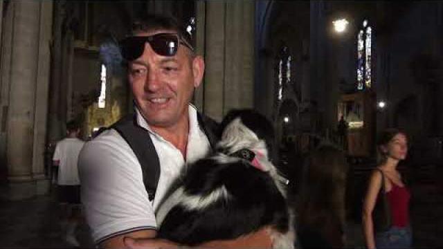 "Animali in braccio", così Don Alvaro in Duomo. "Amo gli animali, ma rispetto per il luogo sacro" - tknKc7MmIFQ