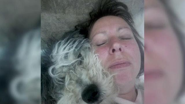 Allevatrice morta nella neve, salvati i dieci cani della donna: adesso cercano una famiglia - uAIdL0H9LuY