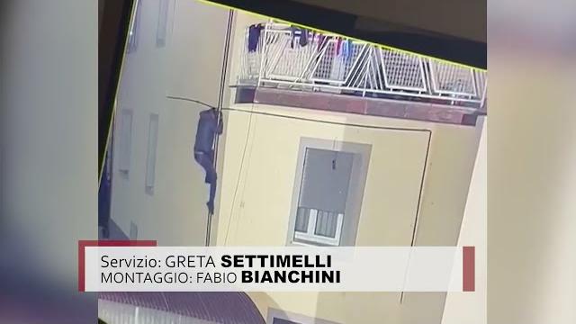 Ancora tentativi di furto nell'Aretino. Ladri acrobati, alcuni messi in fuga dai proprietari - zszGbeTPNWY