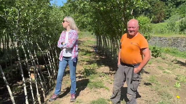 Vivaio forestale di Cerreta, l’arca dei frutti da salvare continua il suo progetto di recupero - EoNeRr1LwxQ